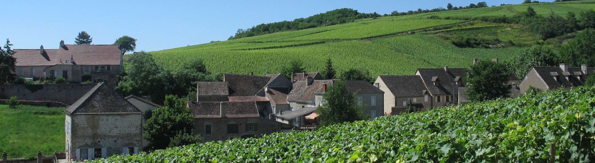 Téléassistance en Bourgogne-Franche-Comté