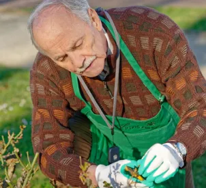 Senior avec le géolibre en jardinant